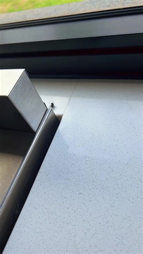 Breakdancing Fly: A Unique Perspective on Nature