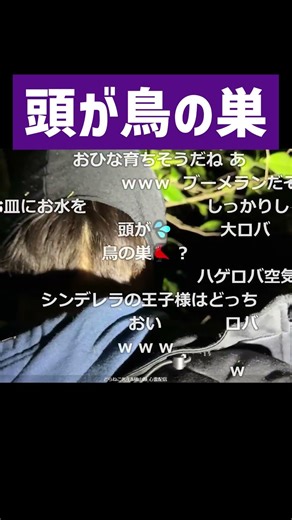 My head looks like a bird's nest #Yokoyama Midori #DoranekoSensei #shorts