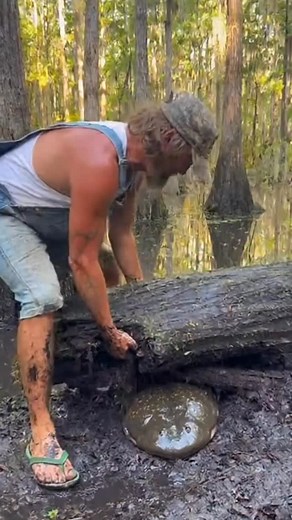 Man finds a giant salamander to eat for lunch 🤢 #salamander #giantsalamander #salamanderman | Sumogrowth AI Mayhem