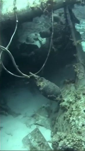 Exploring the Secrets of a Forgotten World War II Plane Wreck #history