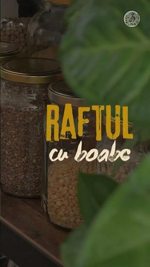 The Bean Shelf: the new series that inspires you in the kitchen!