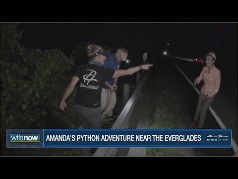 WFLA's Amanda Holly speaks on hunting, capturing Burmese python near FL Everglades