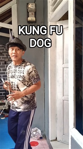 kung fu dog #funny #comedy #gudanghiburan #lucu
