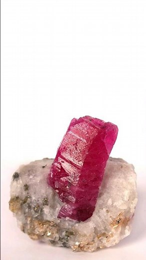 What is Ruby? Where is it found?