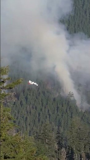 Fire Fighting Planes in Action