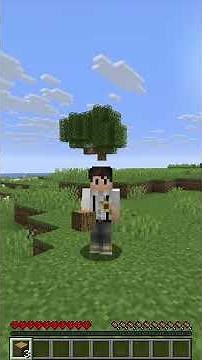 Minecraft Time Loop #minecraft #caravas #challenge