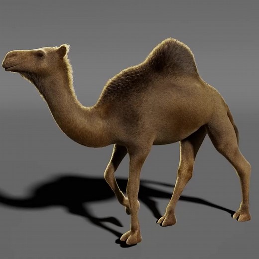 ZIVA VFX muscle setup and simulation by #puppeteerlounge student Jessica Tung! Learn character setup at Puppeteer Lounge: https://puppeteerlounge.com/rigging-workshop | Puppeteer Lounge