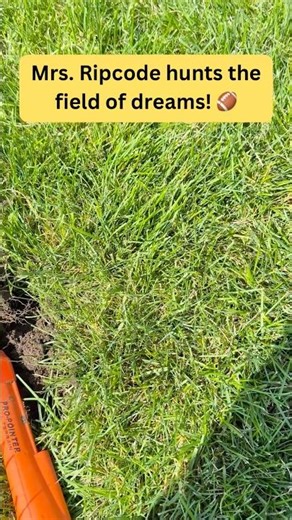 Mrs. Ripcode hunts the field of dreams! 🏈 #metaldetecting #treasurehunting #equinox900