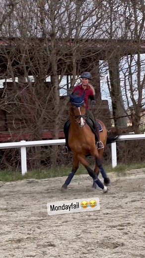 Annette Scheck on Instagram: "Da sind mit uns „die Pferde durchgegangen“ 😂😂😂 .. bzw. „das“ Pferd 🤪🤪!! Knigge hatte mal wieder Energie für 10 (so sollte er mal am Turnier drauf sein 😎!) und Mitteltrab war ihm eindeutig zu langsam. Außerdem wollte er wohl eher raus aus dem Viereck 😂😂😂. Faszinierend wie schnell so ein Pferd sich seitwärts bewegen kann … Knigge aka „die Krabbe“ 🤣🤣. Anfangs war es lustig und dann wurde er mir doch etwas zu schnell … siehe mein Gesichtsausdruck 😆😆 #annett