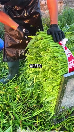 #text #fypシ | text