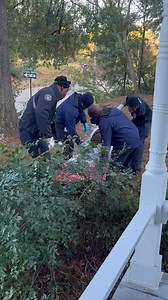 She got her knee replaced two weeks ago and now her tibia just snapped! Same leg! #broken #leg | Lloyd Strickland