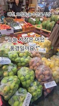 대전 오정동 농수산물시장 풍경 🛒 | 사람 냄새 가득한 여름 시장 #은아금#시장풍경
