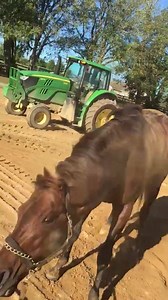 33K views · 654 reactions | Rolling into race day! Click the HD button on the bottom right for the best viewing quality | RUNHAPPY | Facebook