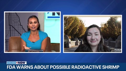 FDA warns about possible radioactive shrimp | What to know