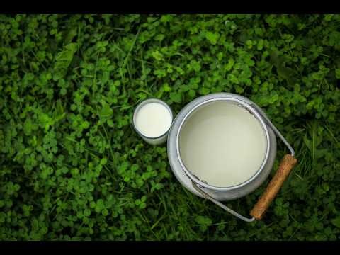 Why is there a war on raw milk? Sally Fallon Morell