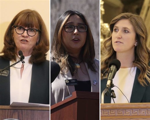 The Colorado House just passed a major gun control bill. Here’s what Western Slope lawmakers said about their vote.