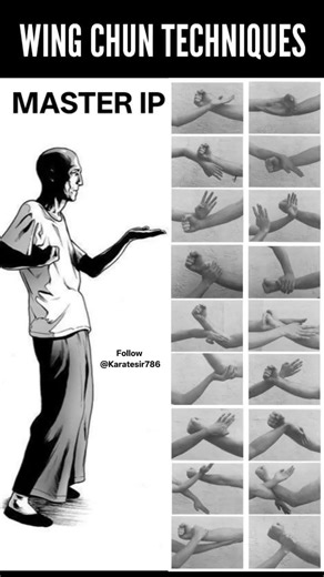 LEARN WING CHUN WITH IP MAN #karate #ipman #karatesir786