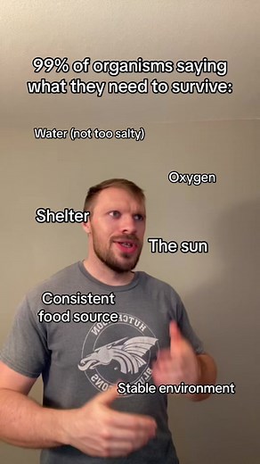 Microscopic Creatures Surviving in Outer Space: Tardigrade Secrets Revealed