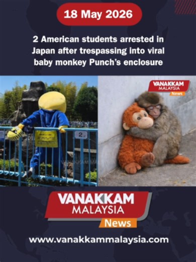 2 American students arrested in Japan after trespassing into viral baby monkey Punch’s enclosure #latest #vanakkammalaysia #2 #American #students #arrested #Japan #after #trespassing #into #viral #baby #monkey #Punch #enclosure #trendingnewsmalaysia​ #malaysiatamilnews​ #fyp​ #vmnews​ #foryoupage