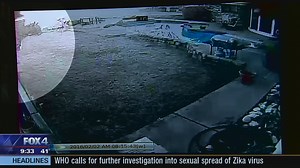 VIDEO: Bobcat jumps into backyard, kills Richardson family's dog