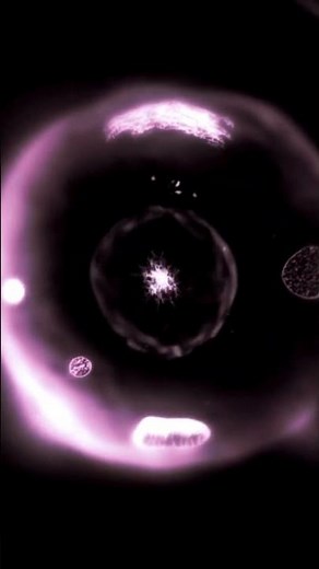 Mitose e Meiose #science #cellularfunction