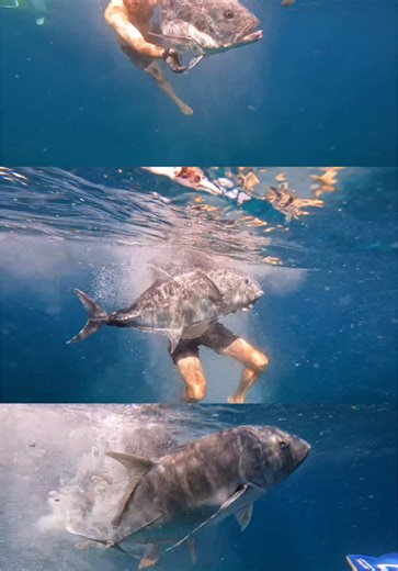 Main Target on the Reef - Fishing Adventure