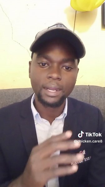 Starting Poultry Farming: How Many Birds to Begin?