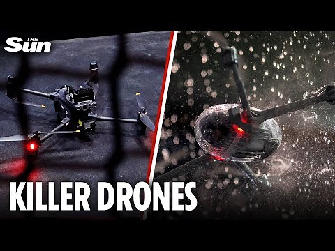 Drones ‘the size of insects’ could carry viruses and commit untraceable murders, futurist warns