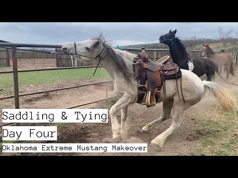 First Time Saddling & Tying w/a Wild Mustang | Day Four OK EMM