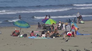 'Unsafe levels of bacteria' found at popular Marin County beach