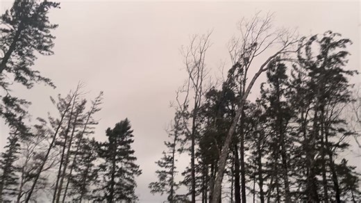 DEC 19: southerly winds gusting 60-65 mph in Downeast Maine this afternoon. Winds will turn westerly and come down as a cold front arrives around 7p, Downeast. Video is from Lamoine, ME. 📸: Nick Holt | Alan Holt