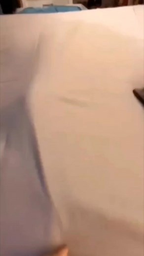 149K views · 8.4K reactions | #sleepy | Sleepy Cats | Facebook