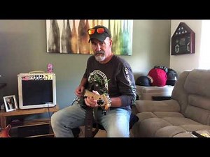 Monoprice 15W 1x12 AMP Review