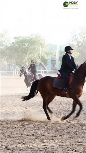 The Majestic Mody University!