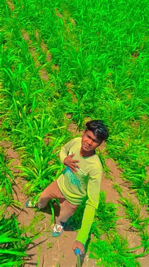 Dil Jage Na Sota Jab Se Tum Ho #love #shorts