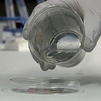 Video: ECM Protein Nanofibers and Nanostructures Engineered Using Surface-initiated Assembly