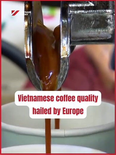 Vietnamese coffee once again drew strong interest from European buyers, and Vietnamese businesses are clearly working hard to maintain a steady presence in this demanding market. From Robusta coffee beans on the Buon Ma Thuot plateau to a cup of morning coffee in Europe, it is not only an agricultural export product, but is gradually becoming a 'cultural ambassador' bringing Vietnamese flavours to the world. #vietnamtoday #vtv #coffee #europe #agriculture