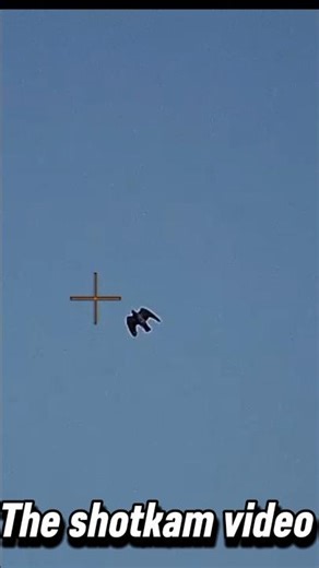 The penguin hunting best shooting outdoor penguin hunting penguin hunting penguin hunting tips