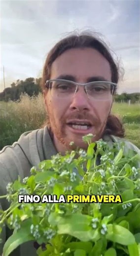 👀 Look what a plant I found in the garden! 👀 | WATCH THE FULL VIDEO