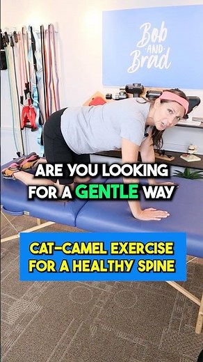 Cat-Camel Exercise for A Healthy Spine #backhealth #yoga #bobandbrad #physicaltherapy #seniorfitness