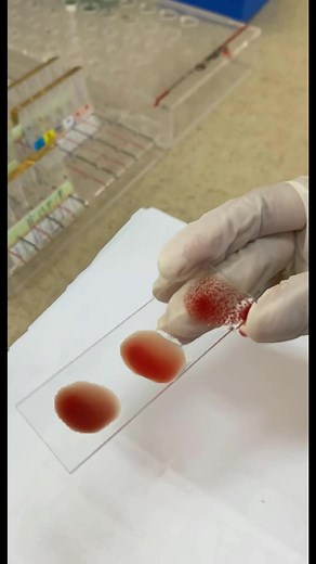 Exploring Laboratory Microscopy Techniques