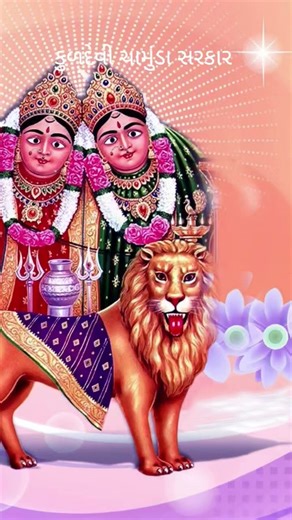 મારી લાજ રાખજે માડી કુળદેવી ચામુંડા માતાજી #chamundamaa #chotila #ytshorts #shorts #youtubeshorts