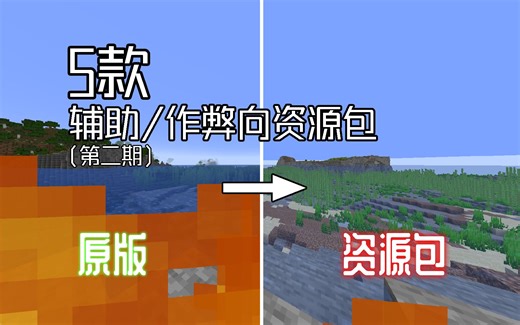 【第二期】5款 辅助/作弊向 资源包（材质包）【我的世界】【资源包】【辅助】（下载链接在简介）