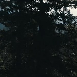 Bigfoot's secret to a peaceful home? Indow acoustic window inserts! Not only do they block out noisy neighbors, but they also help keep your space comfortable all year long and save you money on energy bills. Backed by our Quiet Comfort Guarantee, satisfaction is just an insert away. Get a free estimate today! | Indow