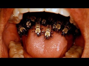 Bees Emerged from his mouth #911