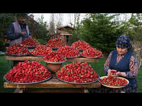 Village Baking Day – Sweet Strawberry Pie & Homemade Jam 🍓🥧