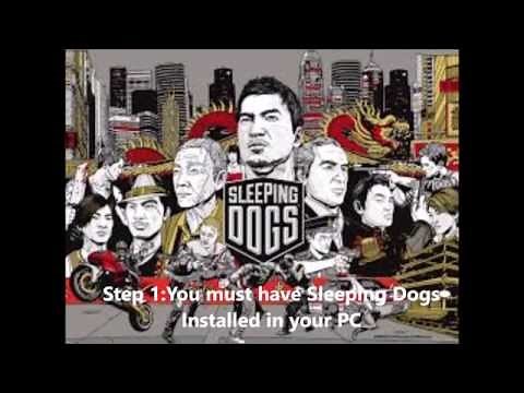 How to crack Sleeping Dogs