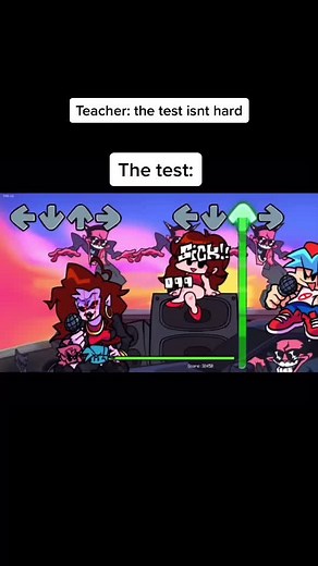 Understanding the Test: What Students Really Think