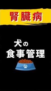 犬の慢性腎不全を自宅でケアする食事管理の方法