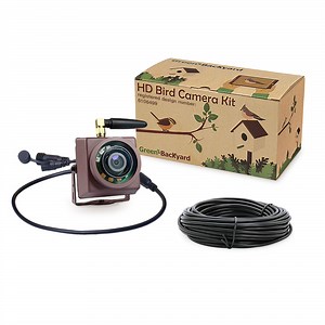 WiFi Bird Box Camera with Wireless Repeater - Green Backyard
